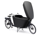 Babboe Pro Bike Mountain 350L