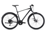 Giant Roam EX