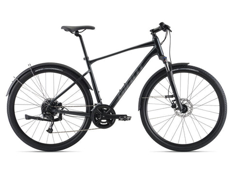 Giant Roam EX